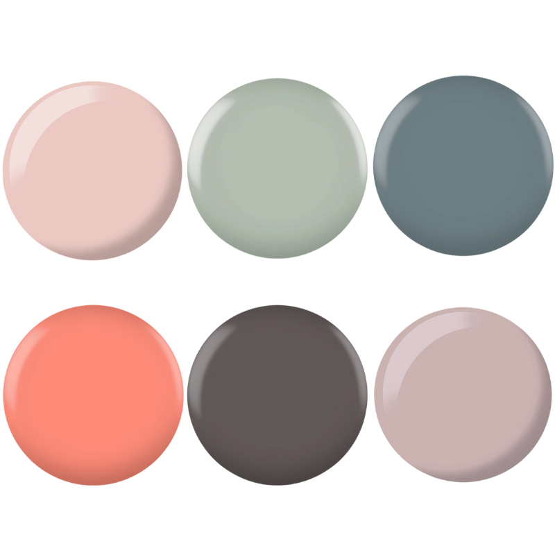 swatch of neutral fall colors by dnd dc