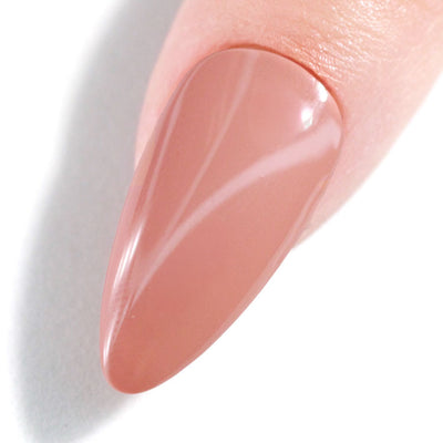 swatch of Perfect Match Pro 3 in 1 Powder Driftwood