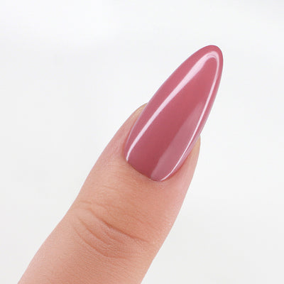 swatch of Perfect Match Pro Powder Dried Roses