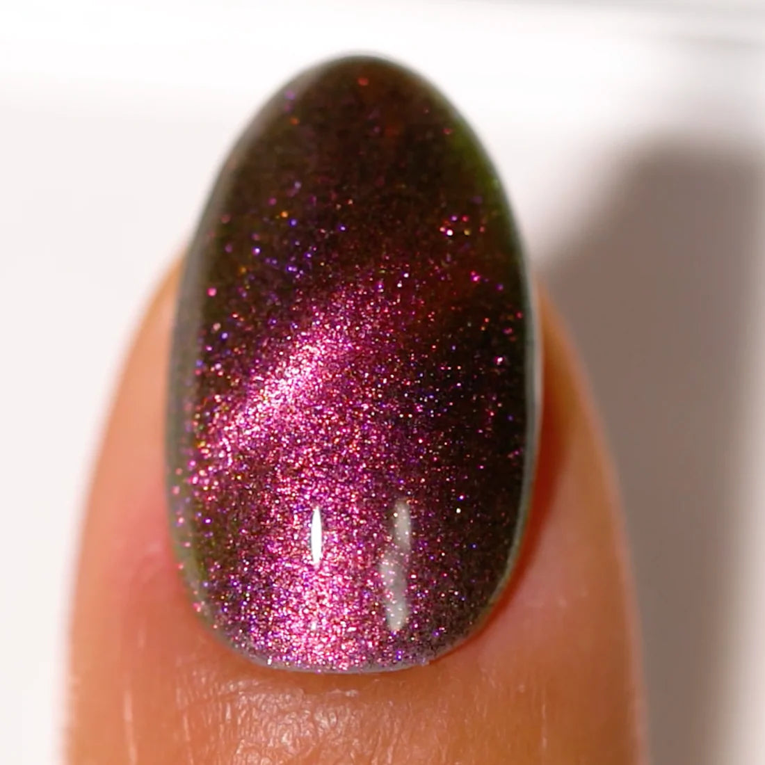 DND 5D Cat Eyes - 04 American Shorthair Finger