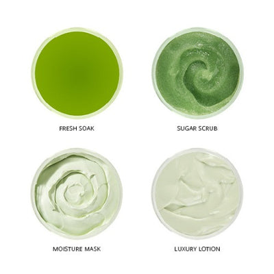 Inside of Lime Zest Smart Pod 4 Step