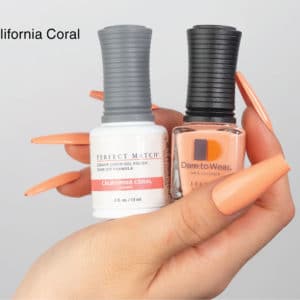 Juicy Vibes Collection Dip Collection