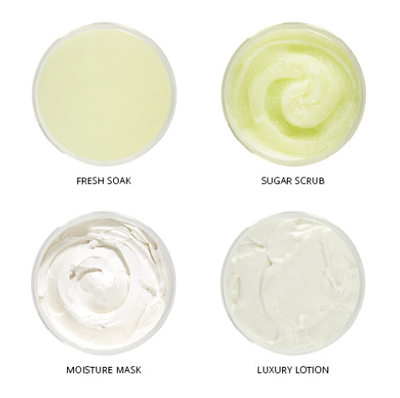 Inside of Cactus Blossom Smart Pod 4 Step