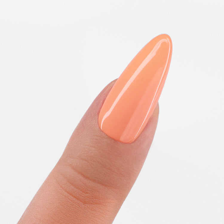 swatch of Perfect Match Pro Powder Apricot Splash