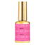 Gel bottle of DND DC Gel 2541 Topless Tropics