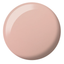 Swatch of 2461 Milky Pink Duo By DND DC Gel