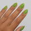 DC Jelly - 04 Green hand
