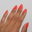 DC Jelly -  12 Poppy hand