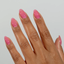 DC Jelly -  17 Orchid hand