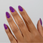 DC Jelly -  19 Iris hand