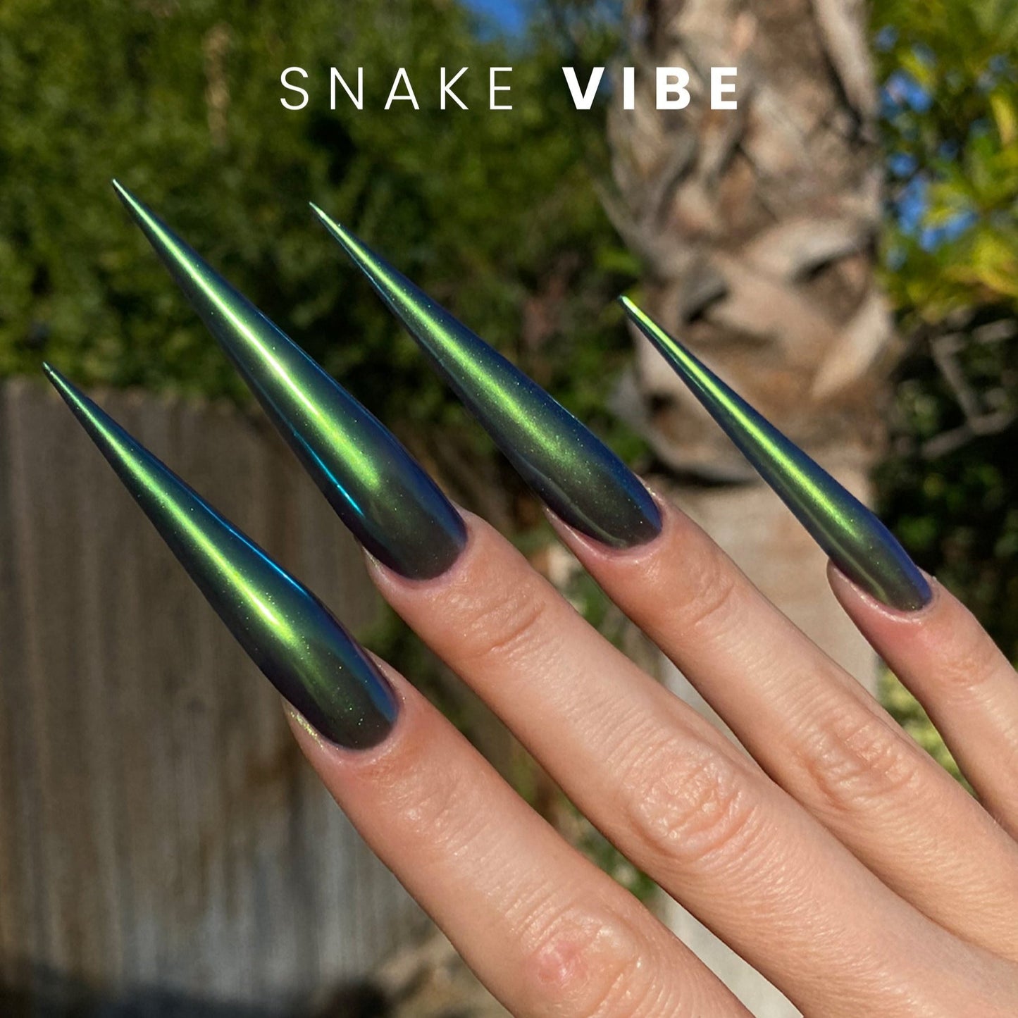 Example 2 of Snake Vibe Chrome Powder by V Beauty Pure