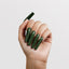 hands wearing 177 Going Green Acrylic Powder by Chaun Legend