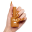 PLA Gel & Polish Duo - 255 Eyes on the Pies