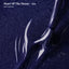 PLA Gel & Polish Duo - 301 Heart Of The Ocean