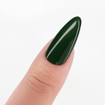 swatch of Perfect Match Pro Powder Evergreen