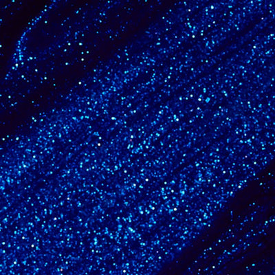 swatch of B24 Blue My Mind Nail Lacquer by OPI