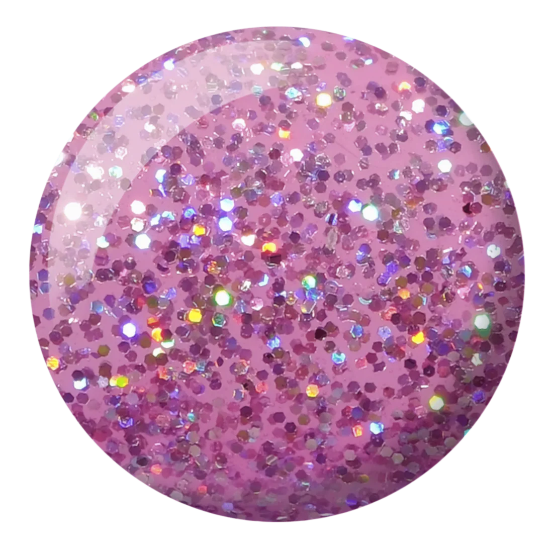 DND Diva Trio - 008 Queen Conch