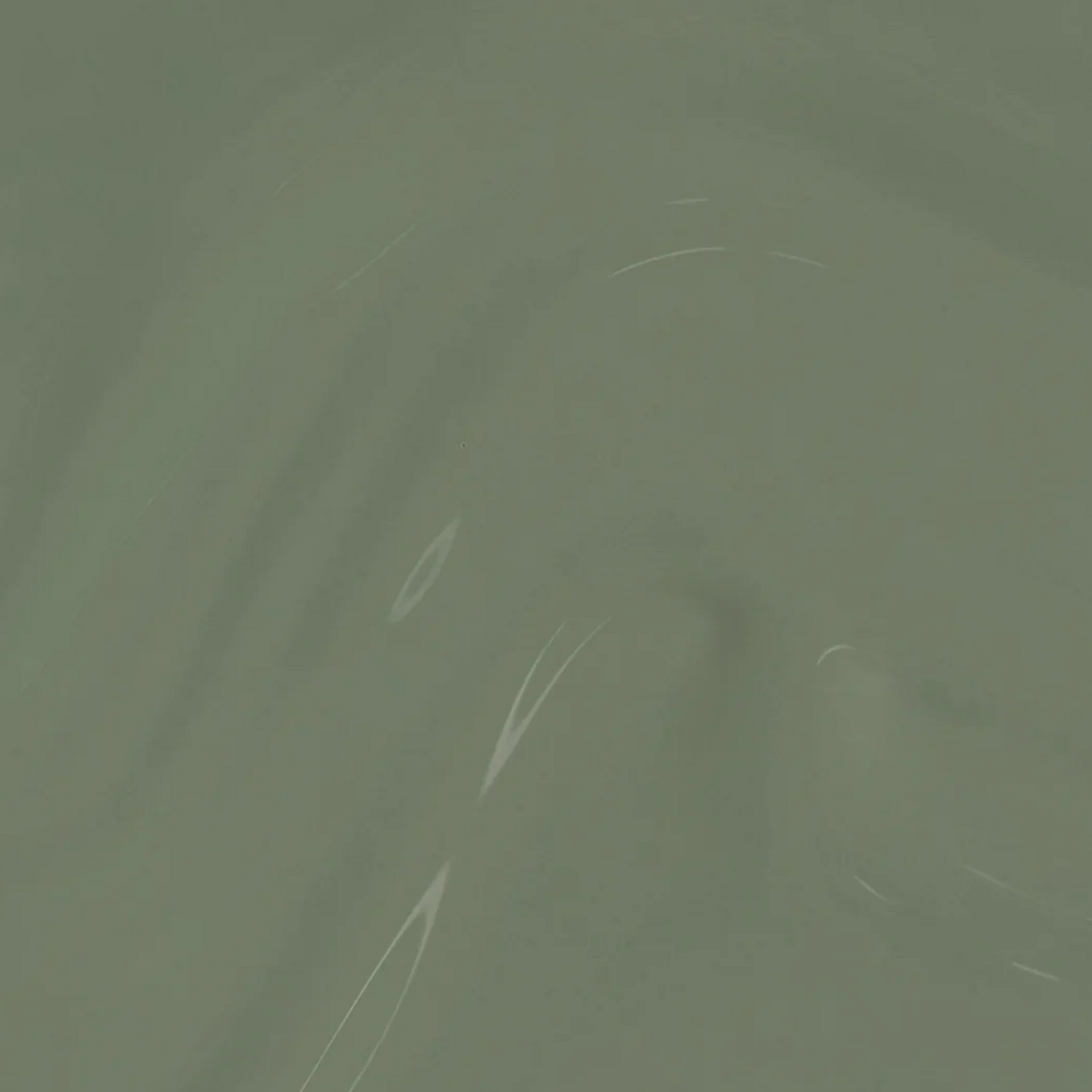 swatch of OPI Intelli-Gel Duo - F029 Cargo All Out