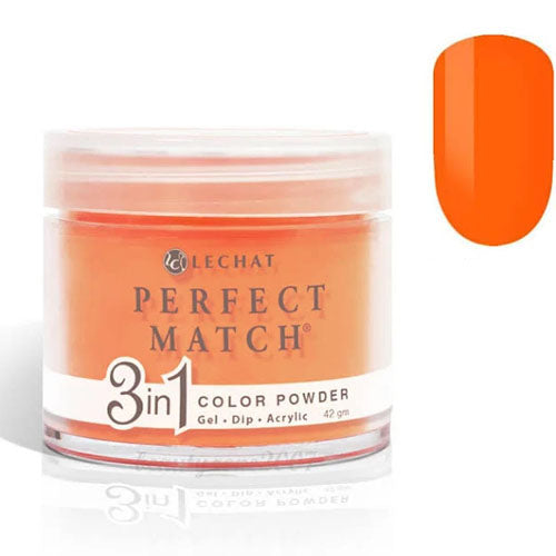 LECHAT PERFECT MATCH DIP - 