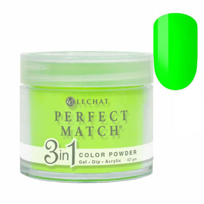 #203 Flashback Perfect Match Dip by Lechat