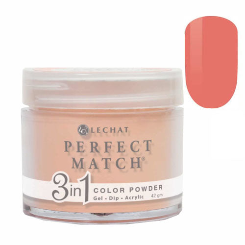 LECHAT PERFECT MATCH DIP - 