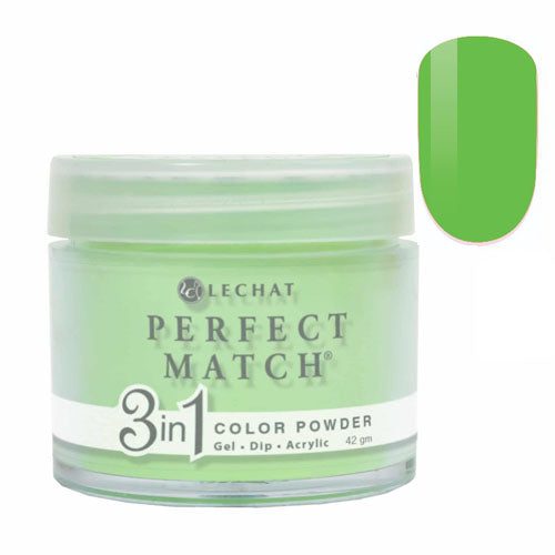 LECHAT PERFECT MATCH DIP - 