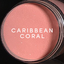 DCH012 Caribbean Coral