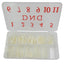 DND Pre-Made Nail Tip Box - Natural Stiletto