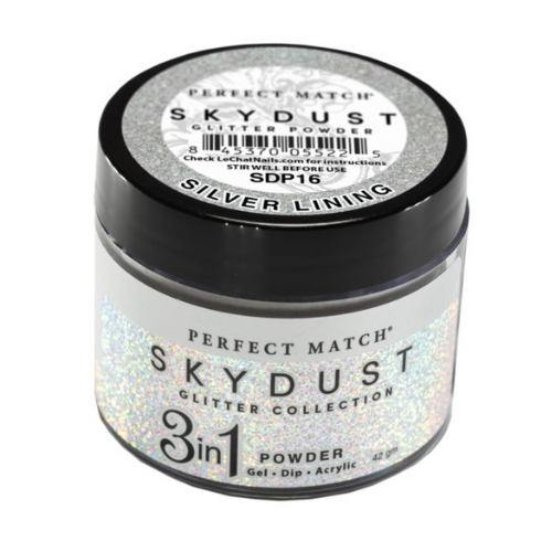 Perfect Match Sky Dust Glitter 3in1 Powder - SDP16 Silver Lining