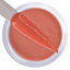 iGel Dip & Dap Powder 2oz - DD031 - Candid Coral