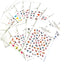 Assorted Nail Art Decal Sticker 5pk